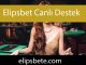 Elipsbet canlı destek elemanları işi bilmektedir.